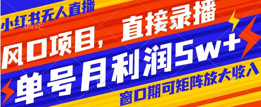 风口项目，小红书无人直播带货，直接录播，可矩阵，月入5w+【揭秘】|艾一资源