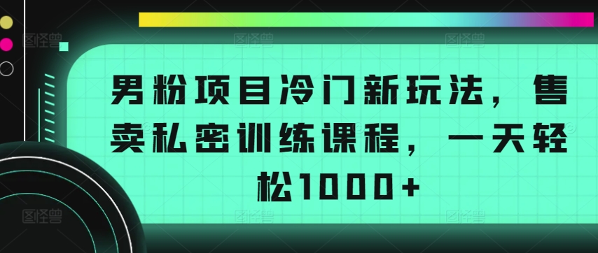 男粉项目冷门新玩法，售卖私密训练课程，一天轻松1000+【揭秘】|艾一资源