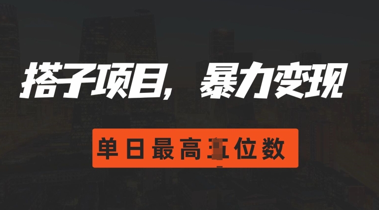 2024搭子玩法，0门槛，暴力变现，单日最高破四位数【揭秘】|艾一资源