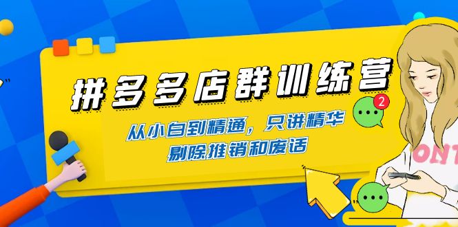 （4318期）拼多多店群训练营：从小白到精通，只讲精华，剔除推销和废话|艾一资源