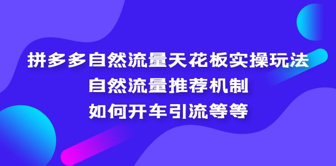 （5327期）拼多多自然流量天花板实操玩法：自然流量推荐机制，如何开车引流等等|艾一资源