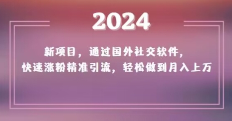 2024新项目，通过国外社交软件，快速涨粉精准引流，轻松做到月入上万【揭秘】|艾一资源