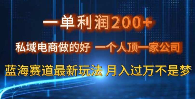 一单利润200私域电商做的好，一个人顶一家公司蓝海赛道最新玩法【揭秘】|艾一资源