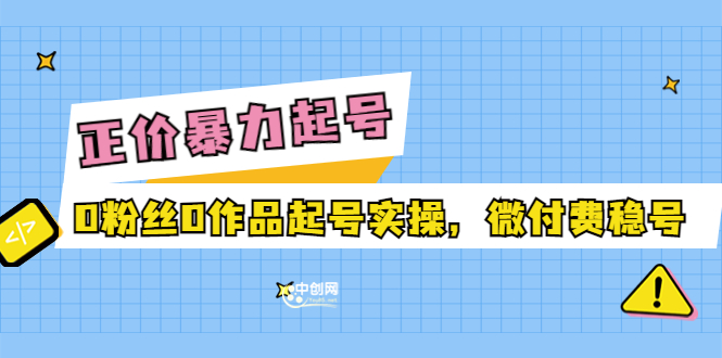 （3377期）正价暴力起实操号：0粉丝0作品起号实操，微付费稳号|艾一资源