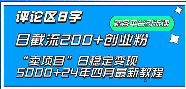 抖音评论区8字日截流200+创业粉 “卖项目”日稳定变现5000+【揭秘】|艾一资源