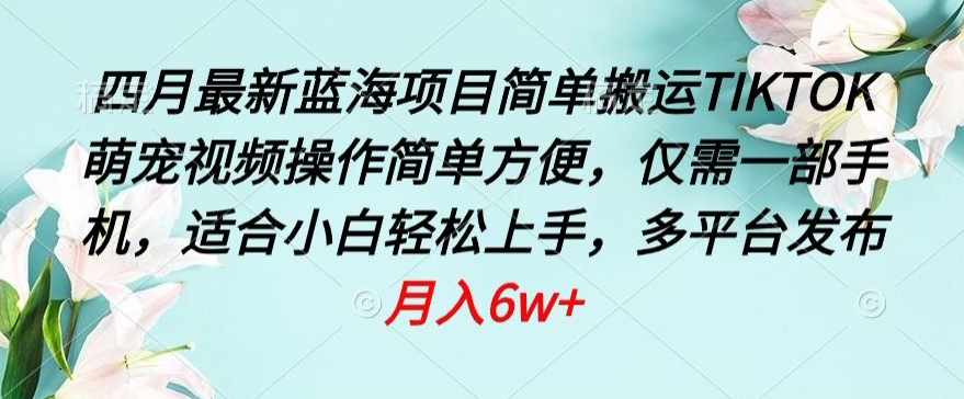 四月最新蓝海项目，简单搬运TIKTOK萌宠视频，操作简单方便，仅需一部手机【揭秘】|艾一资源