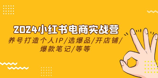 （10376期）2024小红书电商实战营，养号打造IP/选爆品/开店铺/爆款笔记/等等（24节）|艾一资源