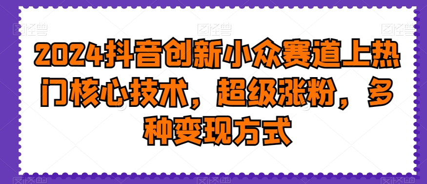 2024抖音创新小众赛道上热门核心技术，超级涨粉，多种变现方式【揭秘】|艾一资源