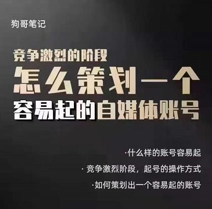 （2988期）差异化起号策略，教你策划一个容易起的自媒体抖音账号，让收益翻倍