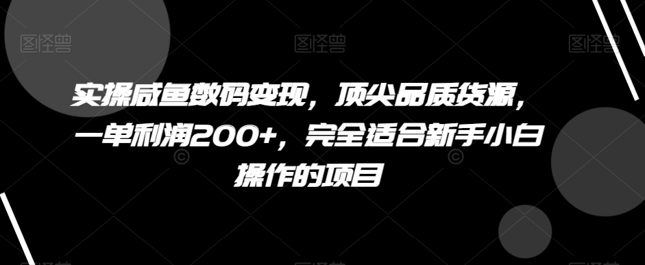 实操咸鱼数码变现，顶尖品质货源，一单利润200+，完全适合新手小白操作的项目【揭秘】|艾一资源