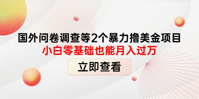 （4062期）国外问卷调查等2个暴力撸美金项目，小白零基础也能月入过万|艾一资源