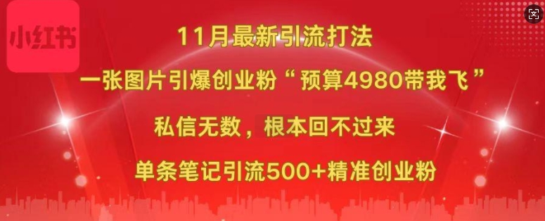 小红书11月最新图片打粉，一张图片引爆创业粉，“预算4980带我飞”，单条引流500+精准创业粉|艾一资源