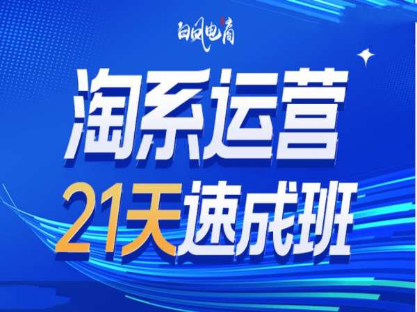 淘系运营21天速成班35期，年前最后一波和2025方向|艾一资源