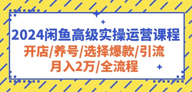 2024闲鱼高级实操运营课程：开店/养号/选择爆款/引流/月入2万/全流程|艾一资源