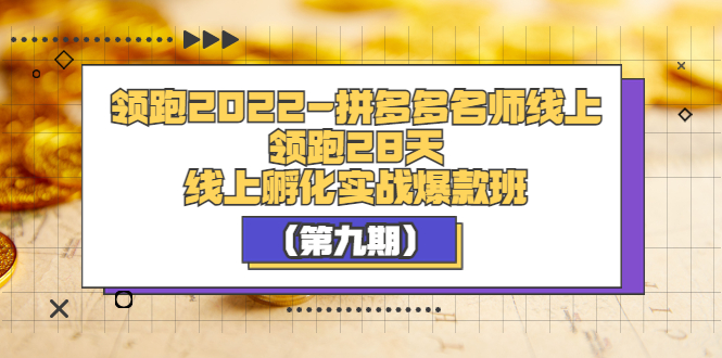 （3370期）领跑2022-拼多多名师线上领跑28天，线上孵化实战爆款班（第九期）|艾一资源