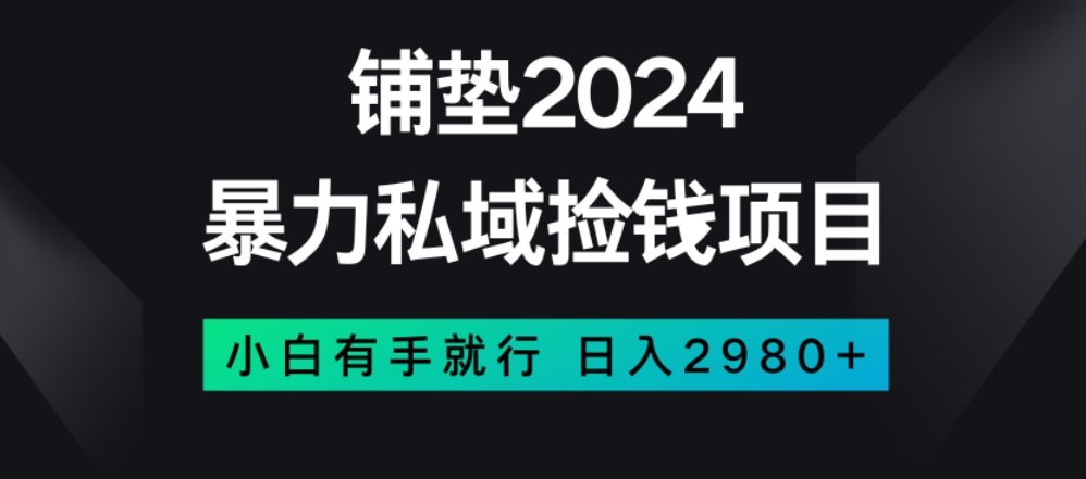 暴力私域捡钱项目，小白无脑操作，日入2980【揭秘】|艾一资源