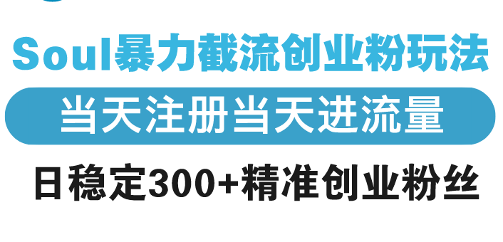 （13935期）Soul暴力截流创业粉玩法，当天注册当天进流量，日稳定300+精准创业粉丝|艾一资源